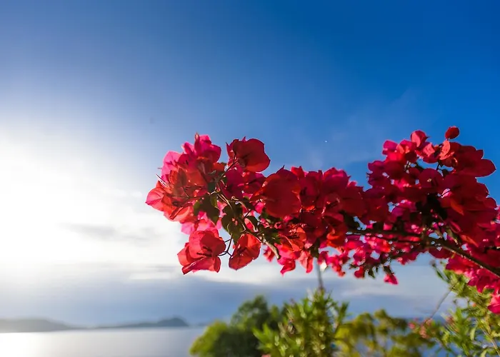 Philip Apart Otel 2*