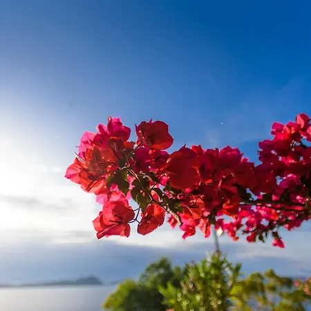 Philip Lejlighedshotel 2*